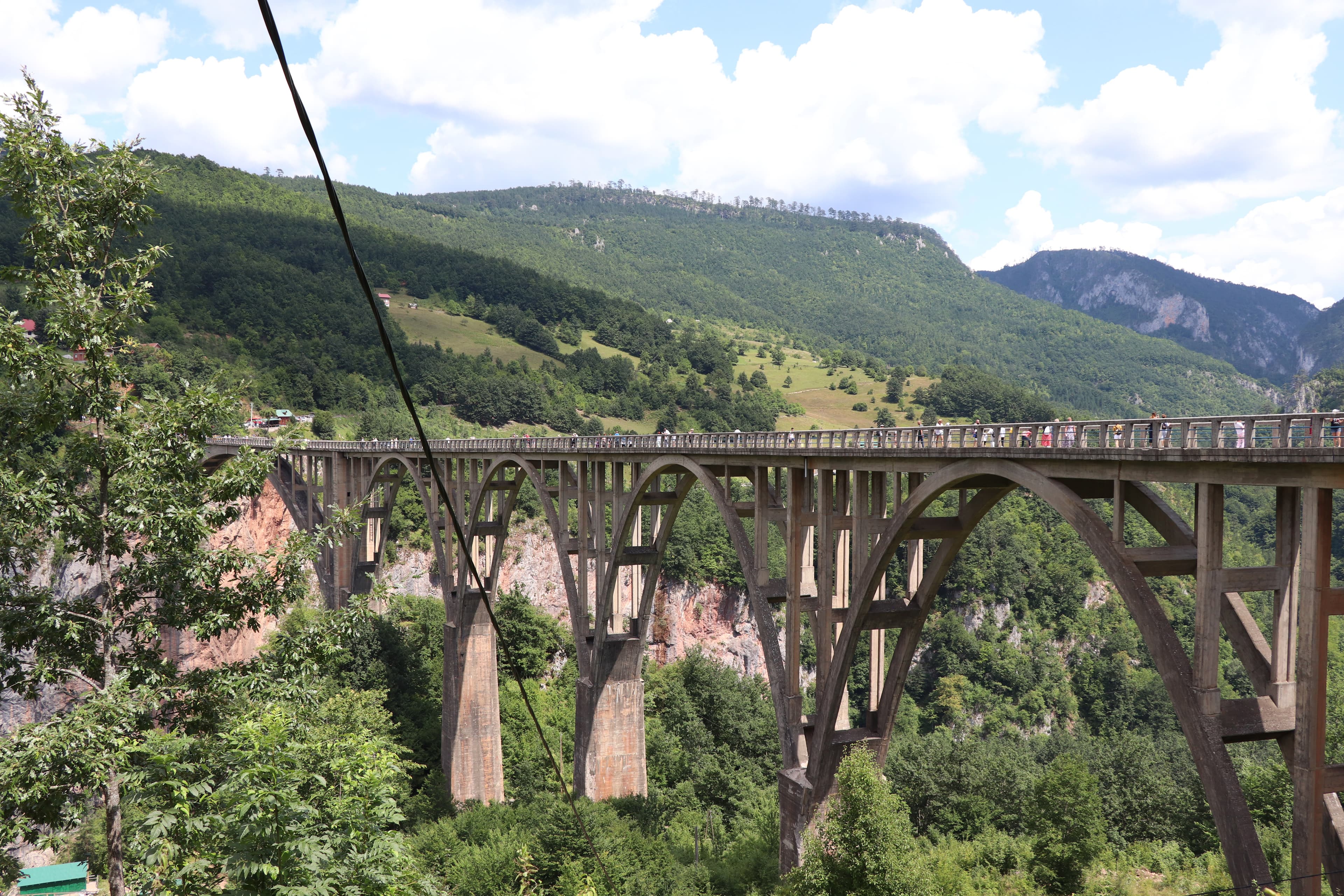 La zip line accanto al ponte sopra la Tara