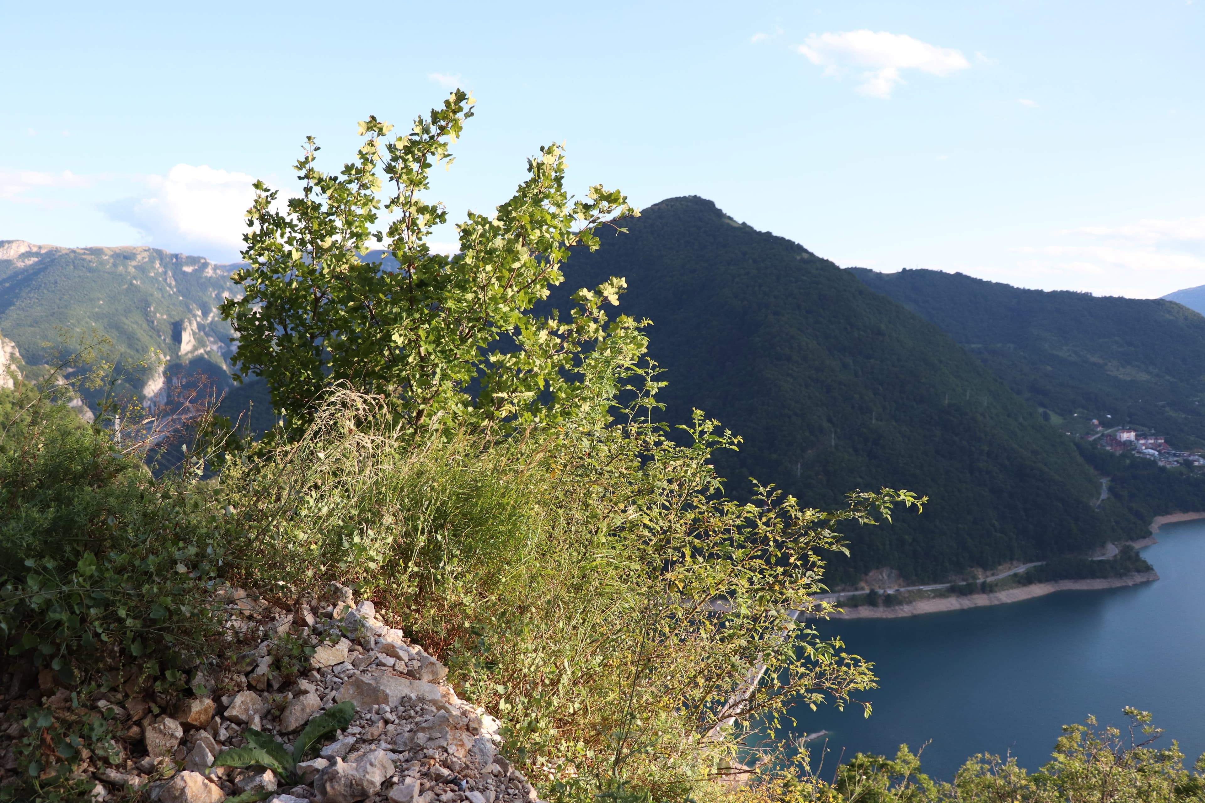 Il bacino di Piva fra le montagne