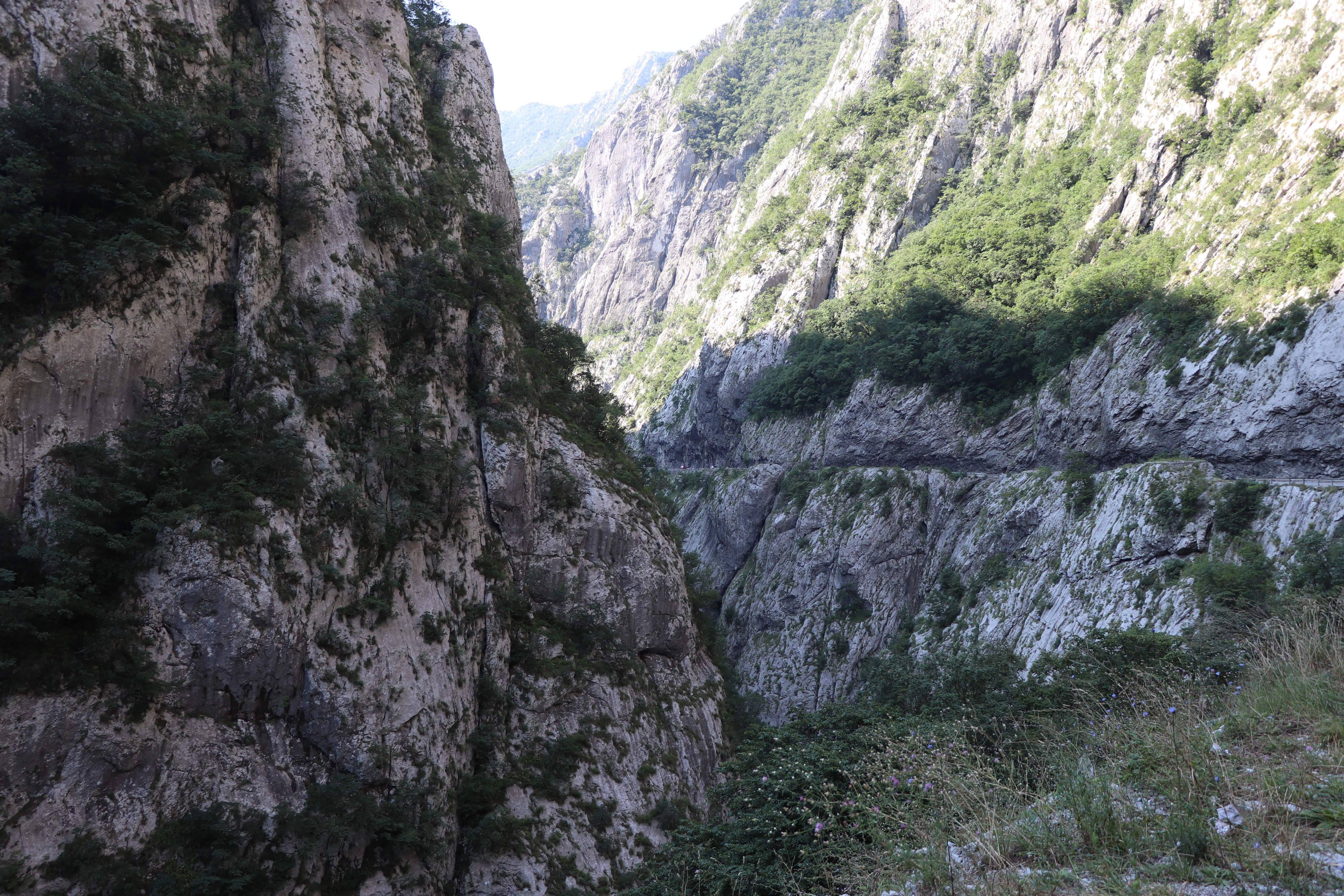 Una strada scavata lungo la parete rocciosa nella valle della Morača