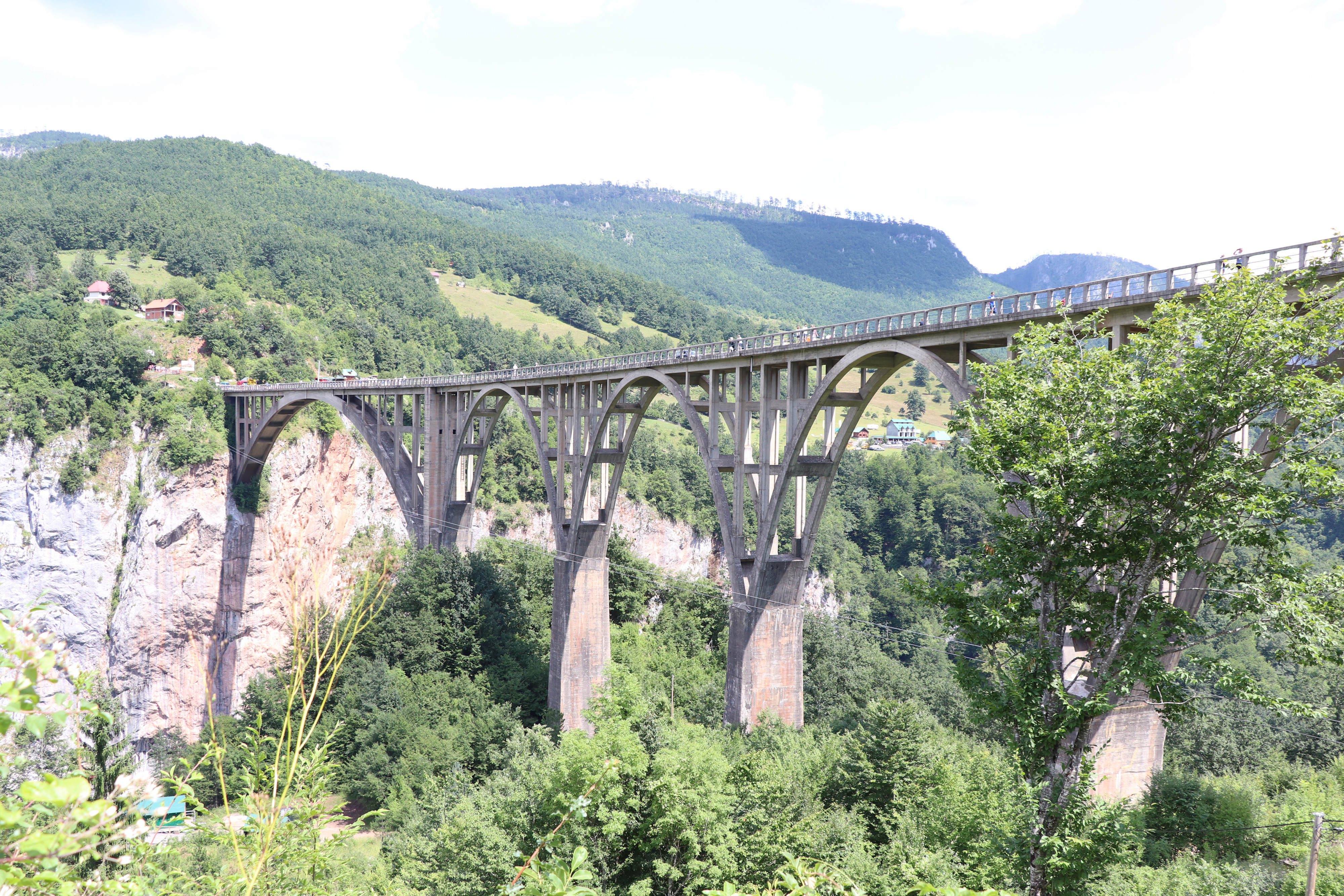 Cinque archi del ponte di Đurđevića Tara sopra il canyon